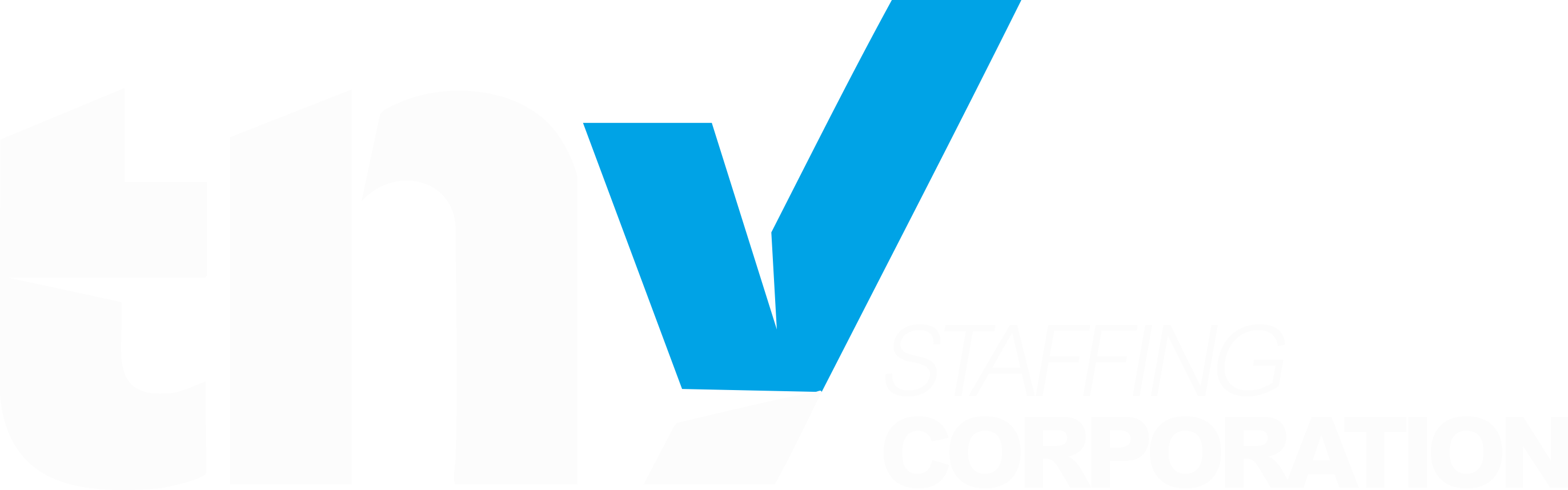 TNY Staffing Corporation